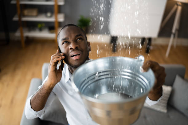Best Local water damage restoration  in Olivet, MI